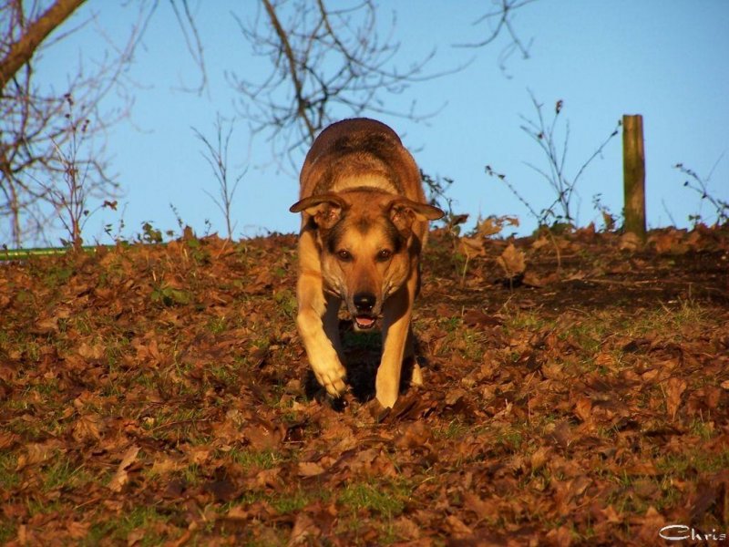 20041219_spaziergang_am_see_067