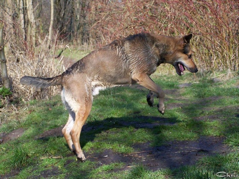 20050402_samstag_im_park_031