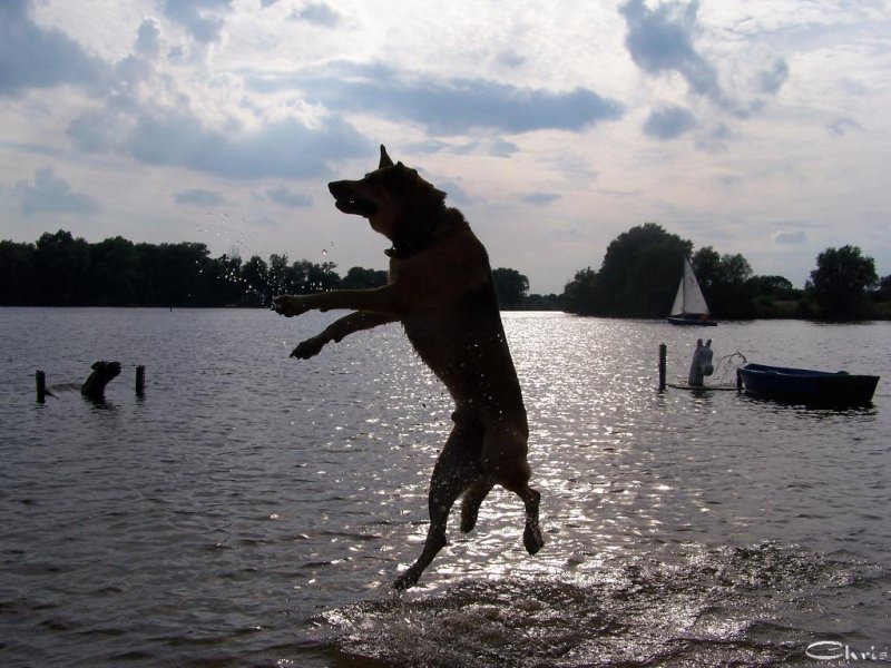 20050827_samstag_beim_eichbaumsee_155
