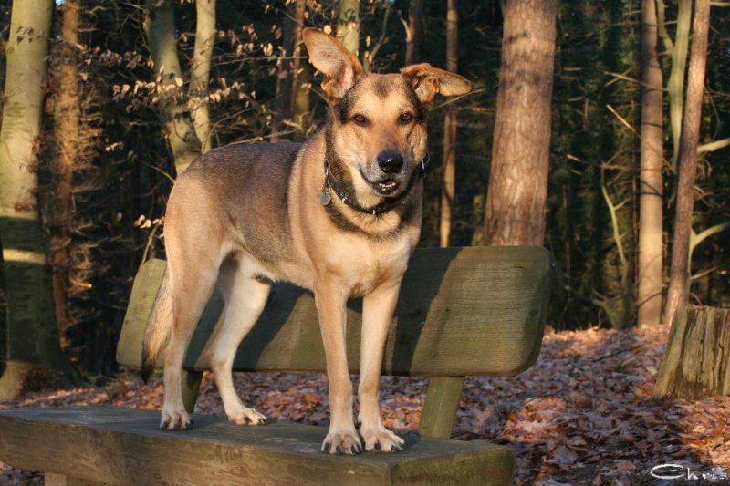 20060115_tierpark_schwazeberge_canon_069