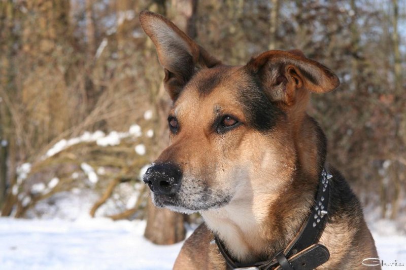 20060313_sonne_und_schnee_053