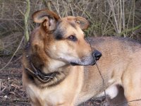 20050220_wochenendspaziergang_im_park_009