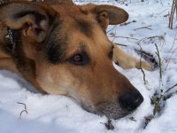 20050227_schneespatziergang_am_wochenende_036