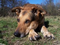 20050320_sonntag_im_park_024