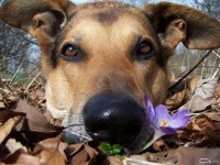 20050322_es_wird_fr_hling_im_park_015