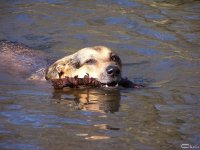 20050402_samstag_im_park_059