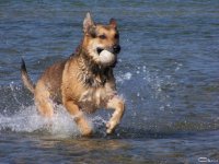 20050403_sonntag_an_der_ostsee_101