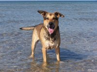 20050403_sonntag_an_der_ostsee_108