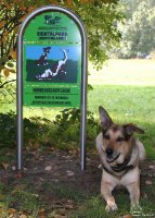 20051014_hundefreilaufwiese_klasse_006