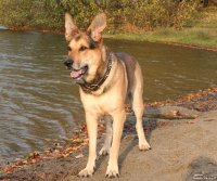 20051105_spaziergang_am_jendorfer_see_canon_090
