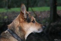 20051121_im_park_029