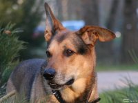 20051202_im_park_016