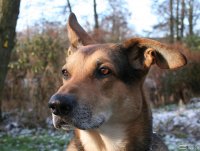 20051217_samstag_es_ist_so_kalt_im_park_063