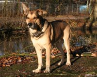 20051217_samstag_es_ist_so_kalt_im_park_095