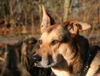 20051217_samstag_es_ist_so_kalt_im_park_098