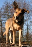 20060114_mit_balou_im_park_030