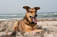 20060506_unser_1_hochzeitstag_010