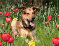 20060507_es_bl_ht_im_park_085
