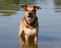 20060701_am_eichbaumsee_017