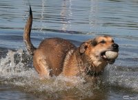 20060701_am_eichbaumsee_036