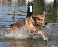 20060701_am_eichbaumsee_037