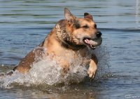 20060701_am_eichbaumsee_047
