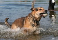 20060701_am_eichbaumsee_049