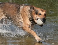 20060701_am_eichbaumsee_064
