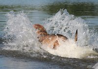 20060701_am_eichbaumsee_093