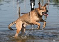 20060701_am_eichbaumsee_118
