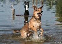 20060701_am_eichbaumsee_119