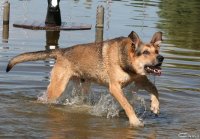 20060701_am_eichbaumsee_120