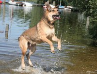 20060701_am_eichbaumsee_121