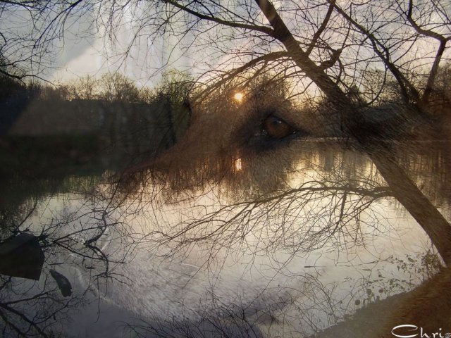 20041212_balou_am_see_abendstimmung_2