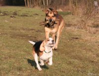 20060227_balou_und_lilli_im_park_101