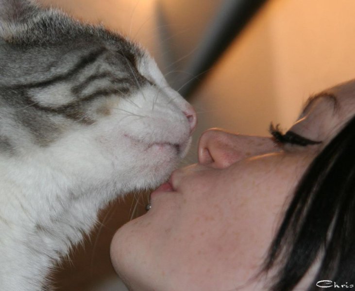 20060523_gismo_feli_145