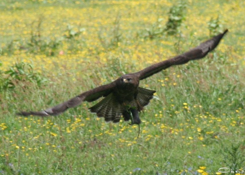 20060604_pfingstsonntag_053