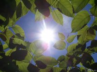 20050623_es_ist_sommer_im_park_teil_2_026