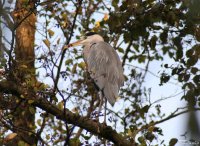20051029_samstag_im_park_050