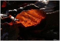 20051217_samstag_es_ist_so_kalt_im_park_113