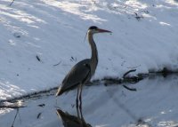 20060313_sonne_und_schnee_112