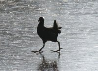 20060313_sonne_und_schnee_144