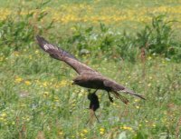 20060604_pfingstsonntag_051