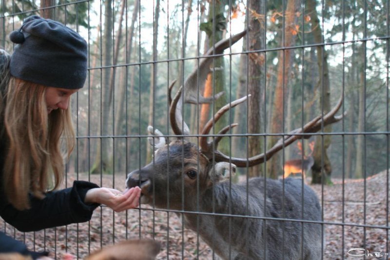 20060115_tierpark_schwazeberge_canon_176