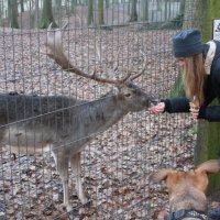 20060115_tierpark_schwazeberge_canon_162