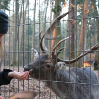 20060115_tierpark_schwazeberge_canon_176