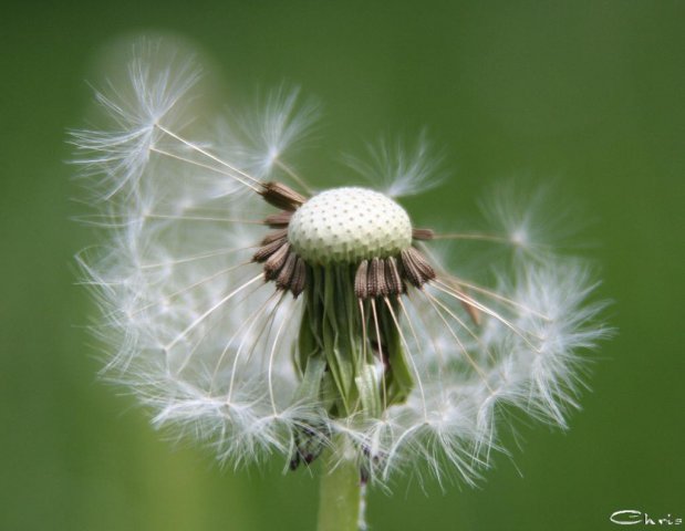 20060605_pfingstmontag_055