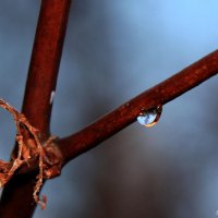 20051127_es_ist_kalt_im_park_152