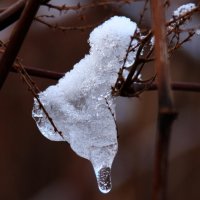 20051127_es_ist_kalt_im_park_155