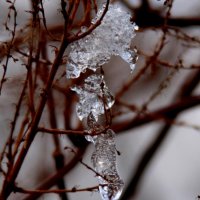 20051127_es_ist_kalt_im_park_156